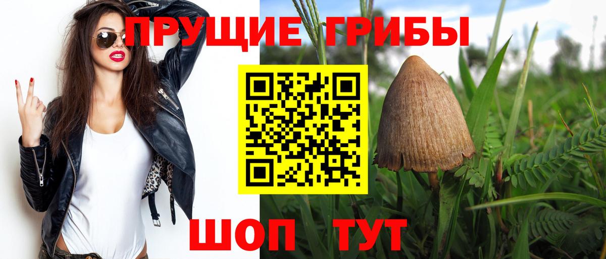 где найти наркотики  Псилоцибиновые грибы Cubensis  Вход с VPN  Кировск 